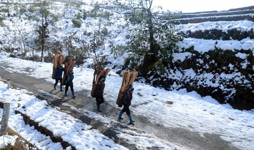 Firewood carriers shiver in heavy snow in late December 2013.