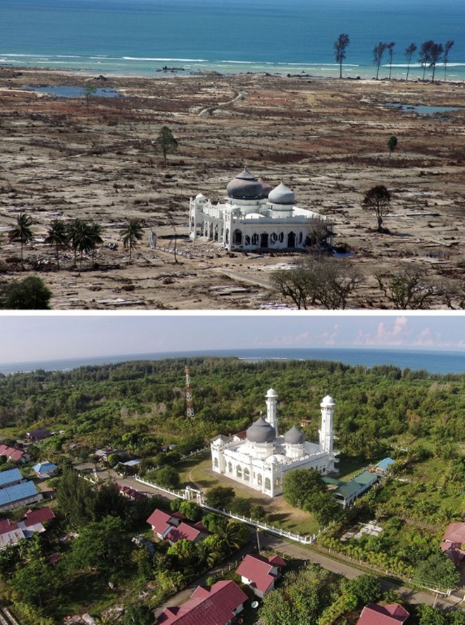 Khu vực ven biển Lampuuk của Banda Aceh bị quét sạch chỉ còn lại một nhà thờ sau trận sóng thần (trên) và khung cảnh hiện tại. Ảnh: AFP.