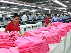 A garment production line (Photo: VNA)