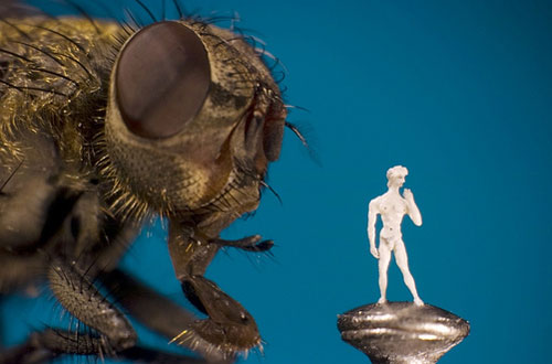Tỷ lệ kích thước giữa đầu con ruồi và tác phẩm tượng đặt trên đầu đinh ghim.