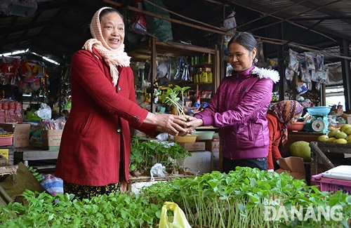  A stall selling plant seeds …