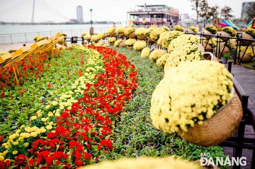  Colourful flower pots.