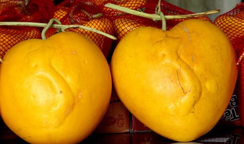 A pair of heart-shaped watermelons with a Vietnamese map on their skin is pictured in Can Tho City