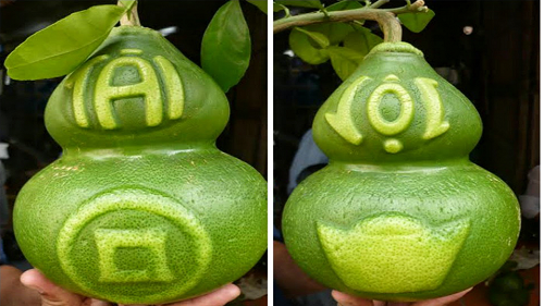 A pair of bottle gourd grapefruits