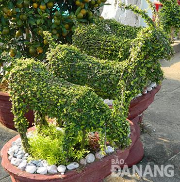  Goat-shaped ornamental plants