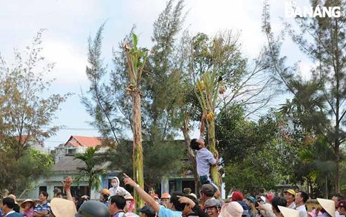   … and a climbing-for-bananas competition.