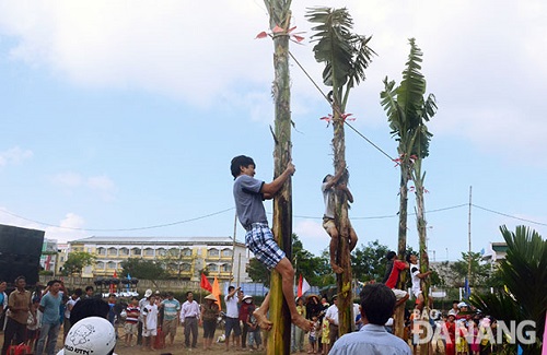 Banana tree-climbing competition