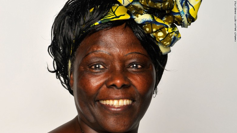 Nhà hoạt động chính trị Wangari Maathai