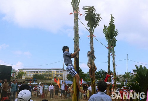  Banana tree-climbing competition