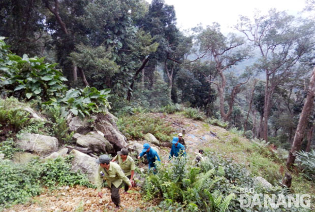 Lực lượng kiểm lâm cùng dân quân xã Hòa Bắc tuần tra, bảo vệ rừng tại tiểu khu 29.