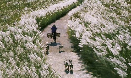   “Duong Lang” (A Village Road)