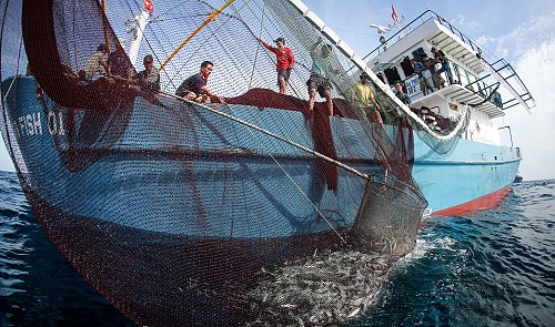 Vietnamese are pictured working on board a steel-clad ship