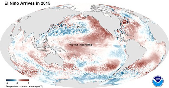 Ảnh hưởng của hiện tượng El Nino trong năm 2015 có thể khiến nhiệt độ trên địa cầu đạt mức kỉ luc. Ảnh: Daily Mail.