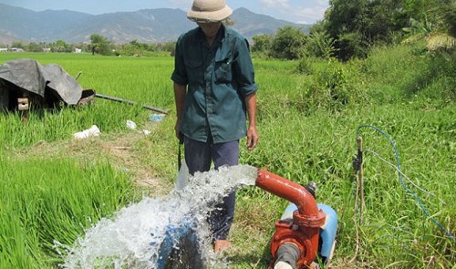 A farmer in Cam Ranh has to pump water from underground sources 