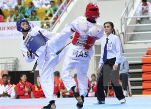 Vietnam’s taekwondo martial artists amassed 46 gold medals at the regional contest (Photo: VNA)