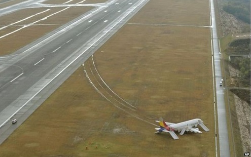 The plane skidded before coming to rest on grass beside the runway