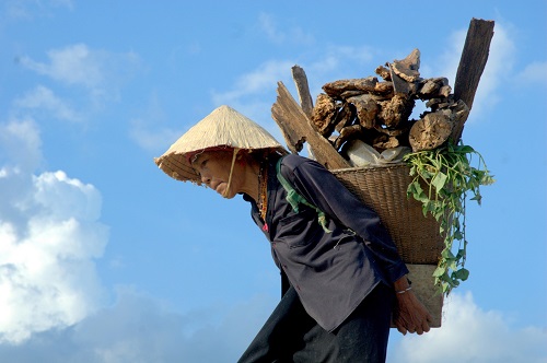   “Tieng Vong Cua Rung” (Echo from the Forest)