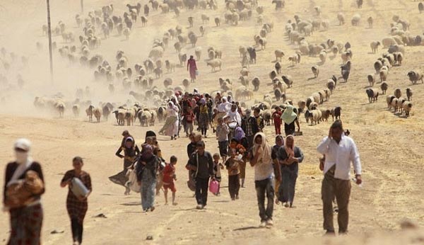 IS đã tạo ra một cuộc khủng hoảng người tị nạn Yazidi ởIraq. (Ảnh: Alalam)