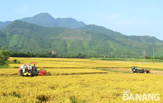  Cơ giới hóa trên đồng ruộng Hòa Bắc.