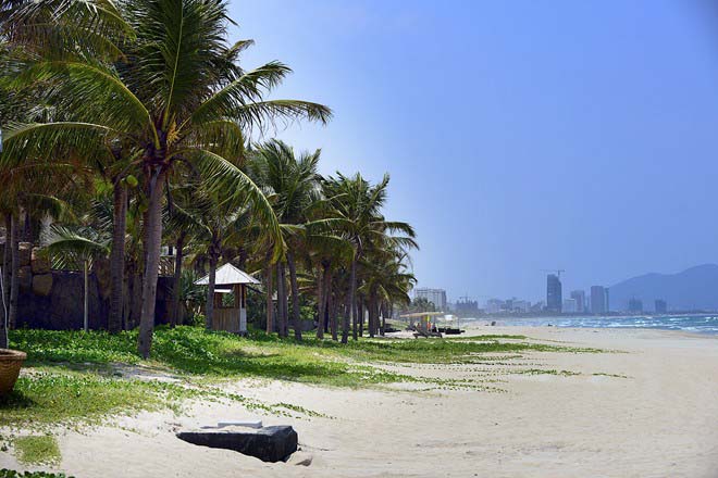 Quy hoạch tốt cộng với nhiều chính sách ưu đãi phát triển cho du lịch đúng đắn, bờ biển Đà Nẵng luôn sạch sẽ, phần nào giữ được nét hoang sơ vốn có. 
