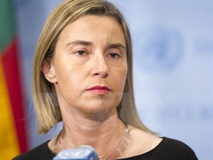 High Representative of the European Union for Foreign Affairs and Security Policy, Federica Mogherini (Source: AFP)