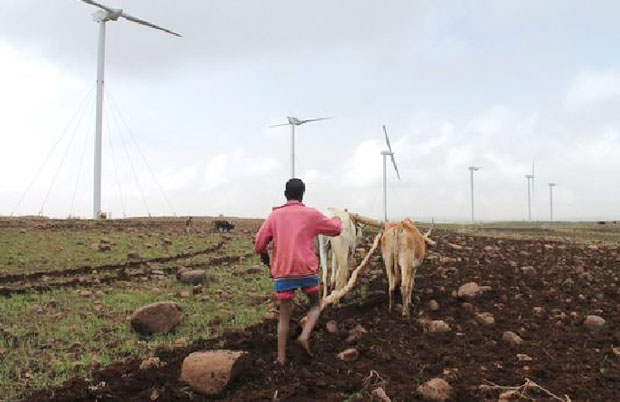 Cánh đồng tuabin gió đầu tiên ở Ethiopia.