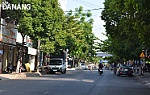 Đường Nguyễn Thị Minh Khai: Nét mộc mạc trong lòng thành phố