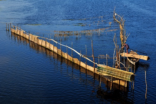 'Song Que' (A Countryside River)