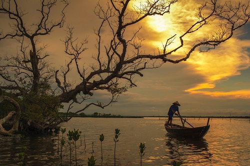 'Hoang Hon' (Dusk)