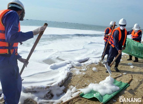    Collecting the spilt oil along the shore  