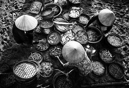   Trading of fish takes place on the sandy beach