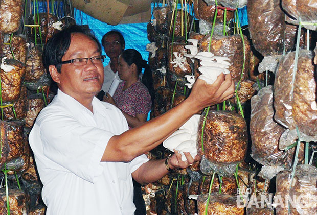 Mở rộng kết nối cung - cầu hàng hóa sẽ bảo đảm đầu ra ổn định cho các mặt hàng nông sản địa phương.