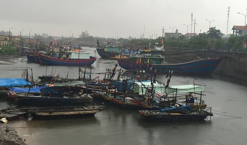 Many fishing boats are seen anchored at a port in Hai Phong City on June 24, 2015 before Typhoon Kujira made landfall.