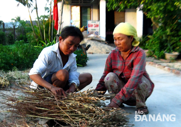 Sức khỏe yếu, anh Võ Như Trọng chỉ còn biết giúp mẹ trong những công việc nhẹ nhàng. 