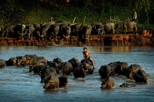  ‘Qua Song’ (Crossing the River)