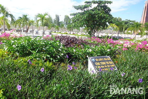 Vườn hoa khoe sắc trong khuôn viên Nghĩa trang liệt sĩ  phường Hòa Hải.
