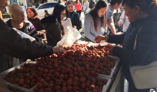 Australian consumers buy Vietnamese lychees in Bankstown, New South Wales, Australia.