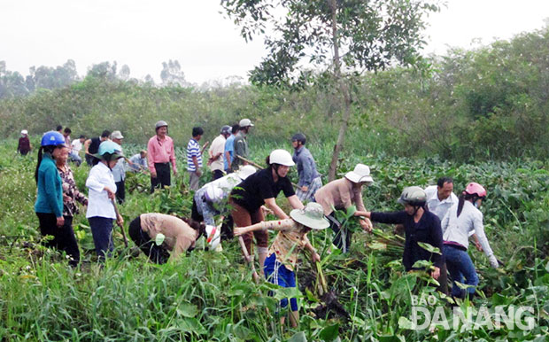 Phụ nữ Hòa Khánh Bắc ra quân làm vệ sinh môi trường.