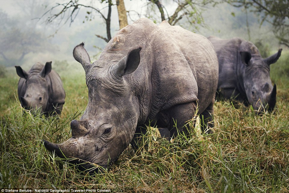 Ziwa Rhino Sanctuary, Uganda