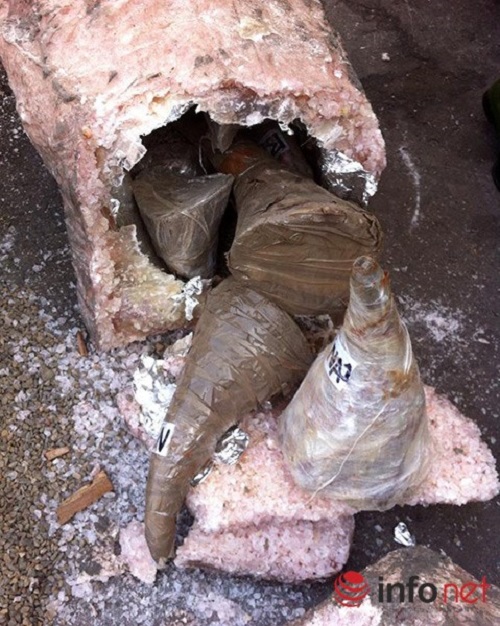 Rhino horns hiden inside an imitation marble statue made of Styrofoam (Photo: infonet)