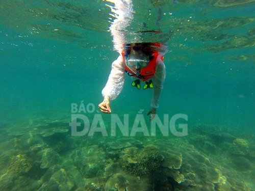    Ms Phuong Dung from Hai Chau District’s Binh Thuan Ward exploring the beauty of a coral reef off Nam Beach