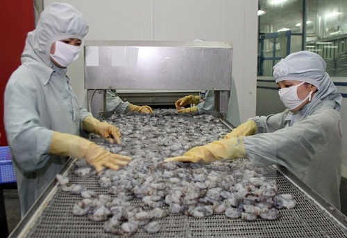 Shrimp processing (Photo:VNA)