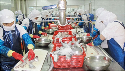 Workers at a local seafood company