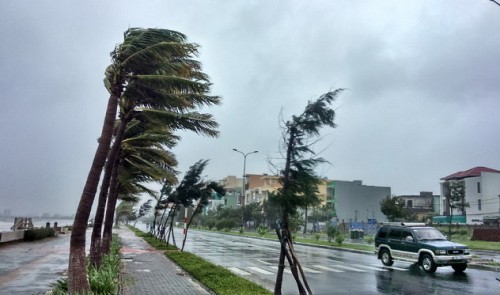 Trees are seen shaken by strong winds on a street in Da Nang