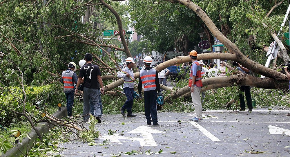 iêu bão Dujuan đã làm nhiều cây cối ngã đổ tại Đài Loan. Ảnh: Reuters