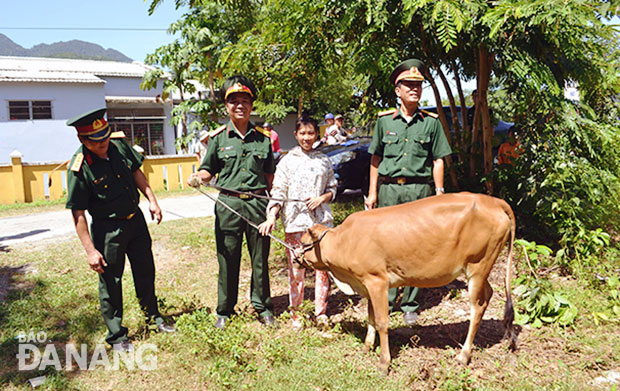 Lãnh đạo Tổng Công ty Sông Thu tặng bò giống cho hộ nghèo ở xã Hòa Bắc.