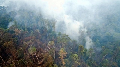 Haze in Indonesia