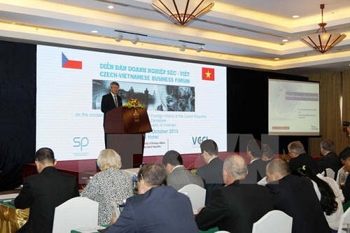 VCCI Vice President Vo Tan Thanh speaks at the forum (Source: VNA)