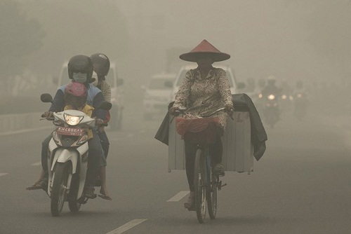 Haze blankets street in Palangkaraya capital of the Indonesian province Central Kalimantan.(Source: Reuters)