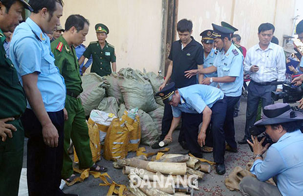 Lực lượng Hải quan phát hiện vụ buôn lậu ngà voi số lượng lớn tại cảng Tiên Sa.